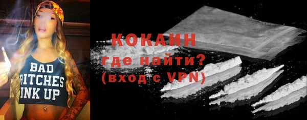 гидра Гусев
