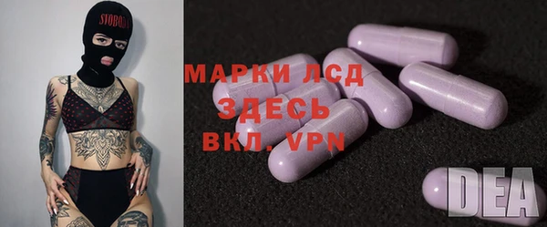 гидра Гусев