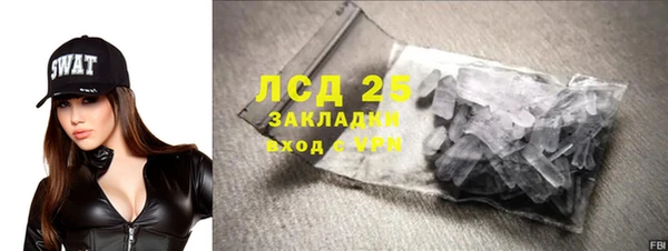 гидра Гусев