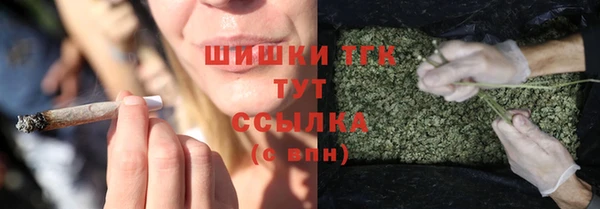 гидра Гусев