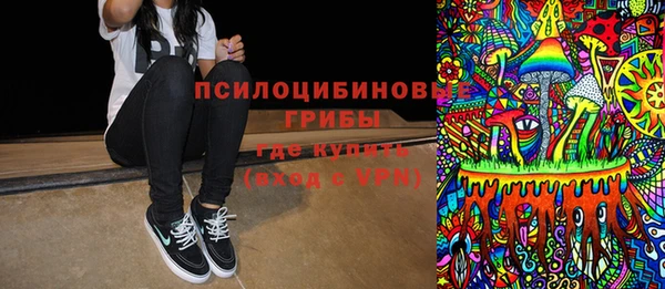 ешки Гусь-Хрустальный