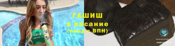 гидра Гусев
