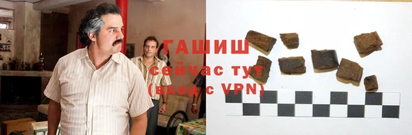 гидра Гусев