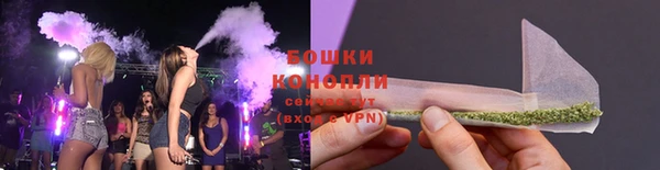 ешки Гусь-Хрустальный