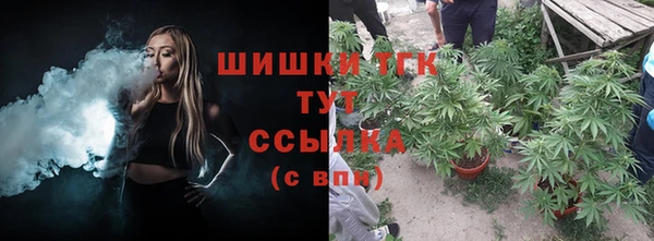 ешки Гусь-Хрустальный
