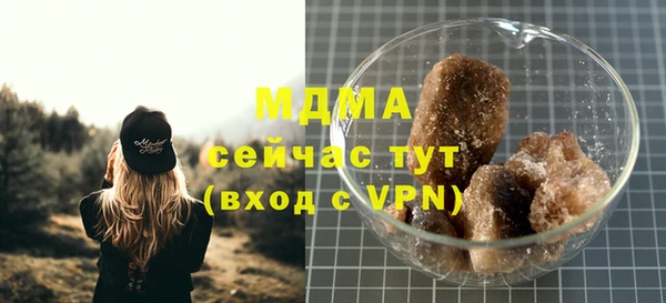 гидра Гусев